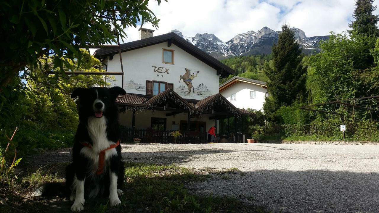 维塔罗Botton D'Oro Delle Dolomiti住宿加早餐旅馆 外观 照片